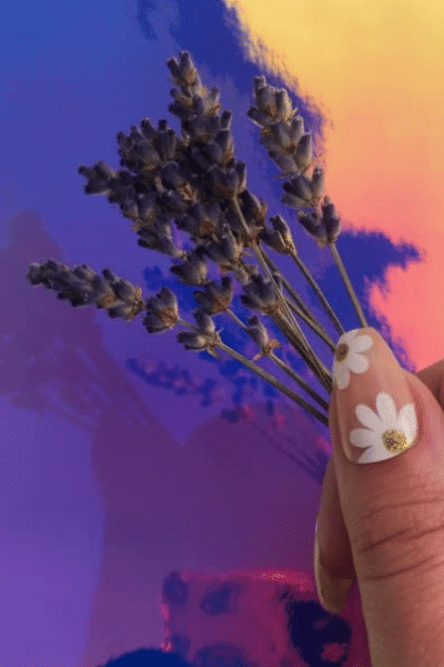 why we love lavender | bunch held by hand | kindroot