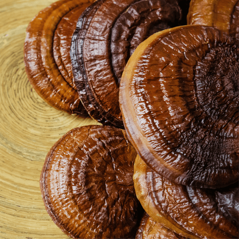 Shiny brown reishi mushrooms on top of a wooden table